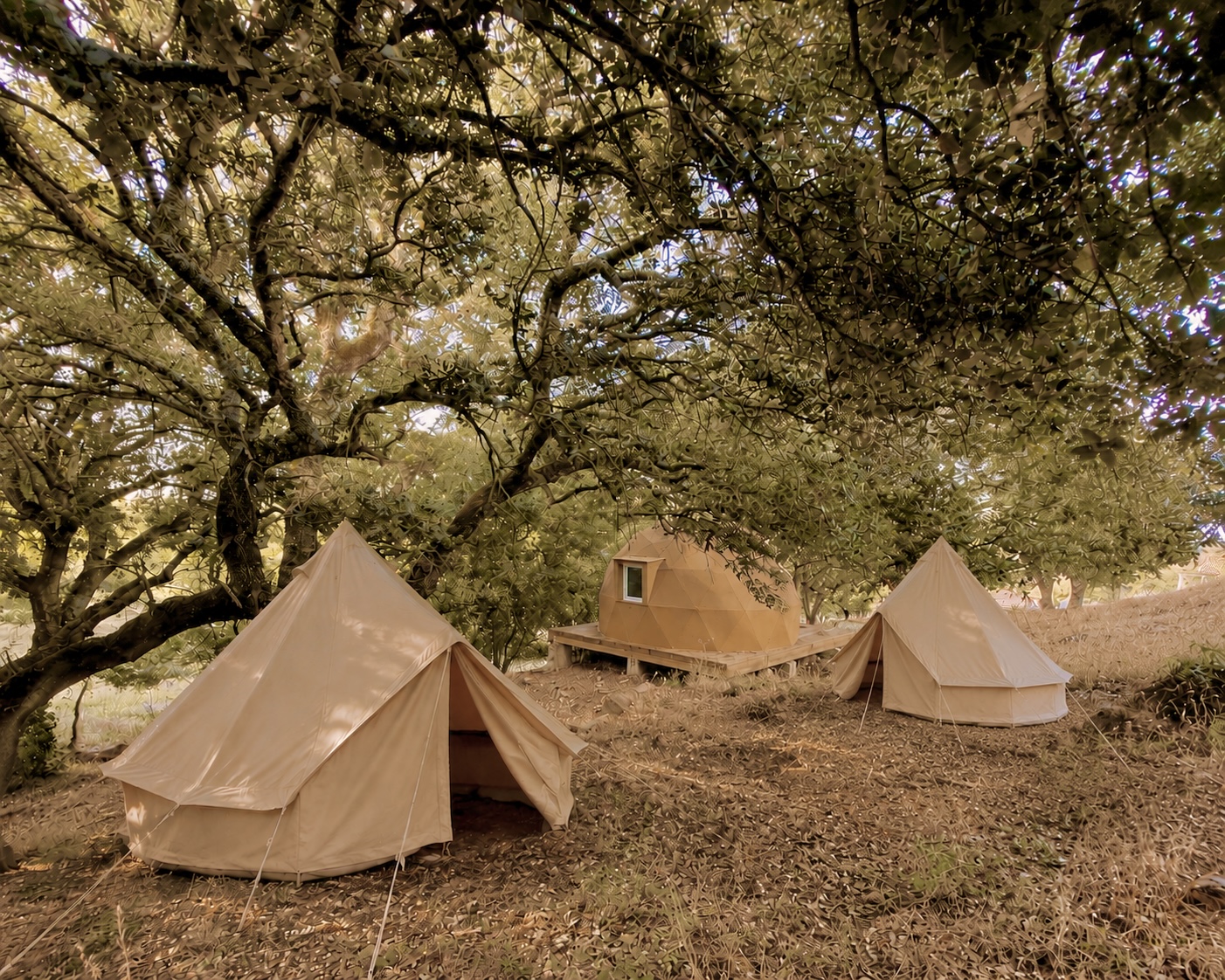 Camping